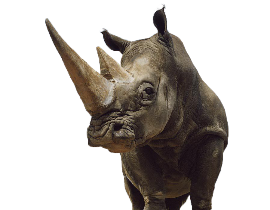 Namibia Wildlife Protection RHINO INFORMATION